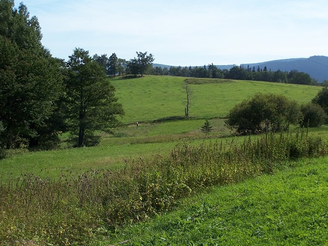 4. z 2005 11:05:53